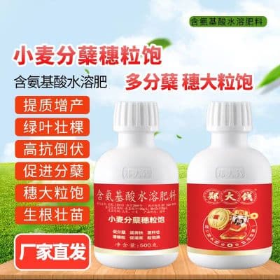 小麦专用分蘖剂 小麦分蘖穗粒饱 年前促分蘖生根壮苗抗倒伏抗冻